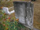 image of grave number 81314